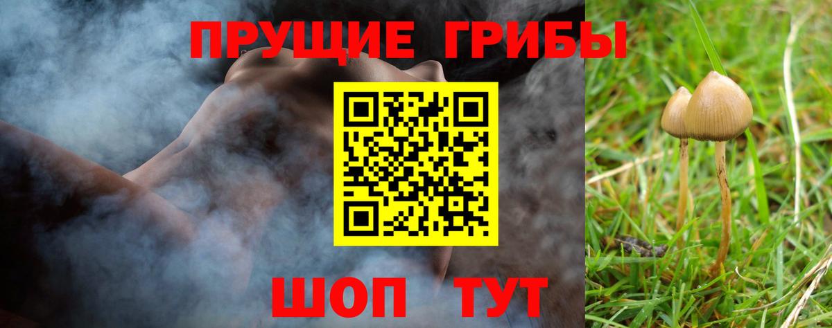 Луховицы  Галлюциногенные грибы ЛСД  Вход с VPN 